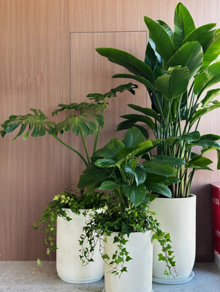 杭州湾花木租赁合作哪个好？详细对比评测